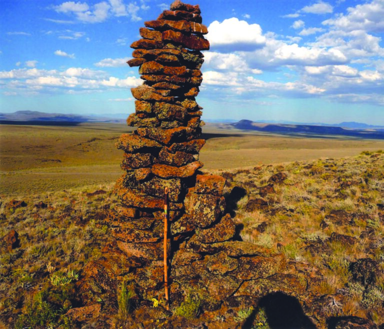 What’s in a Stone Boy?