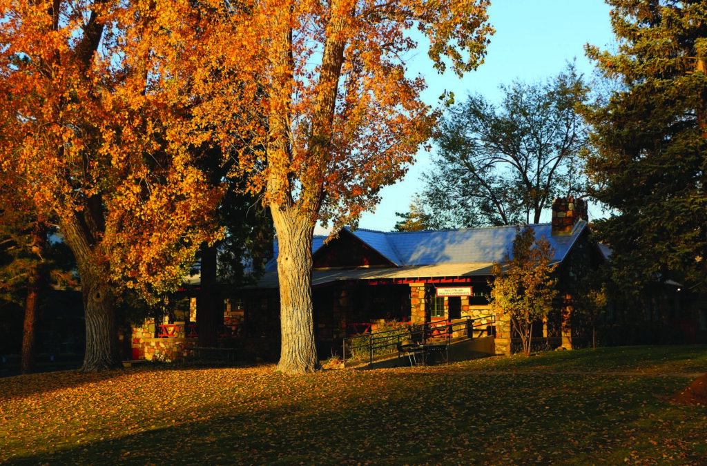 House in autumn sunlight surrounded by vibrant yellow-orange trees and scattered leaves on a green lawn.