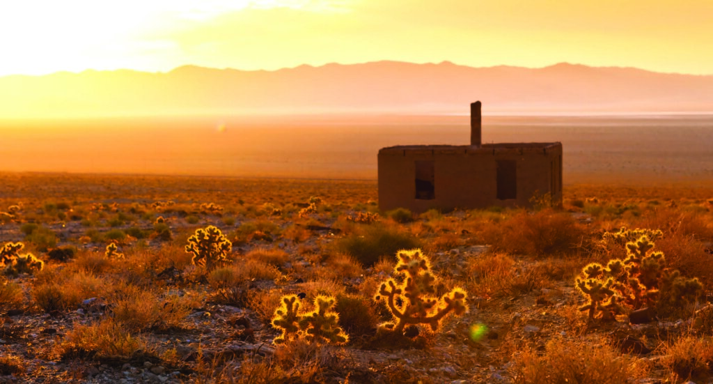 Desert building stands still in sunset, surrounded by glowing cacti and distant mountains.