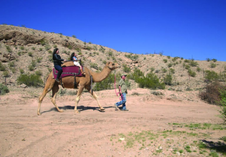 Mesquite: Sweet Heat