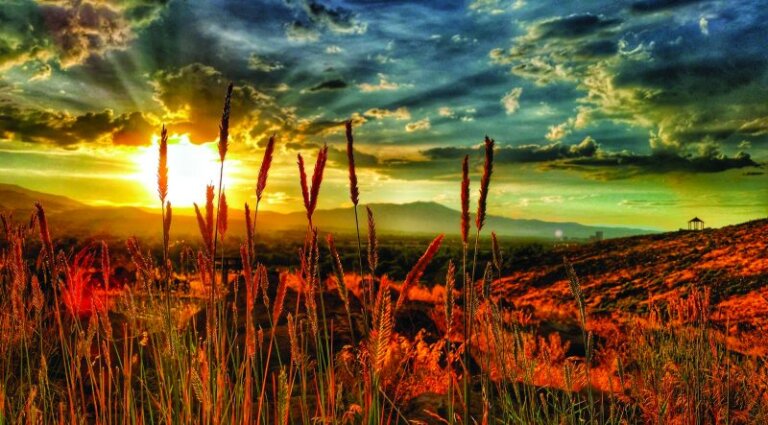 2017 Great Nevada Picture Hunt