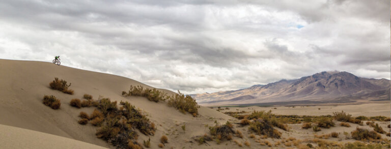 Roam Means Nevada