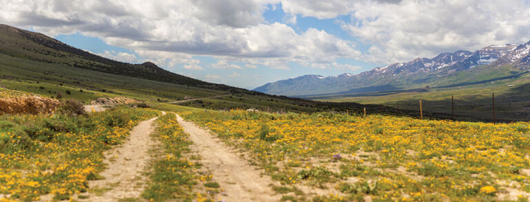 Set Your Sights on Dazzling Views