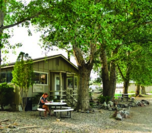 A person sits writing at a picnic table outside a rustic ranch office surrounded by trees. Signs: "Ranch Office," "Kitchen."