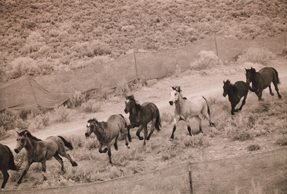 The Dann Sisters: Searching for Reciprocity for the Western Shoshone
