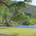 People enjoying a picnic alongside Washoe Lake