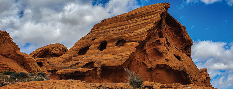 Your Favorite Nevada Place to Take Visitors