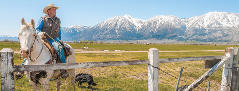 Rural Wranglers: Minden & Gardnerville