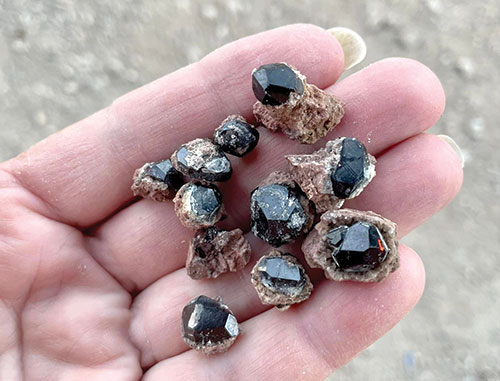 A hand full of freshly-dug garnets