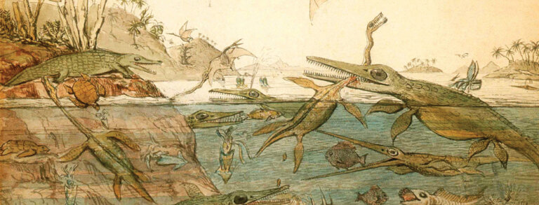 Discovering the Ichthyosaur