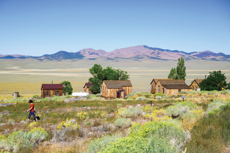 Wooden houses sit quietly among bushes, as a person walks nearby; mountains and blue sky form the backdrop.