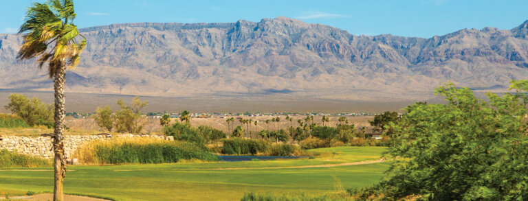 Rural Wranglers: Mesquite