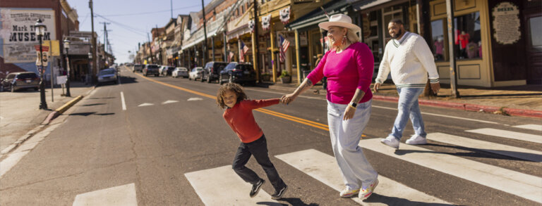 Rural Wranglers: Virginia City