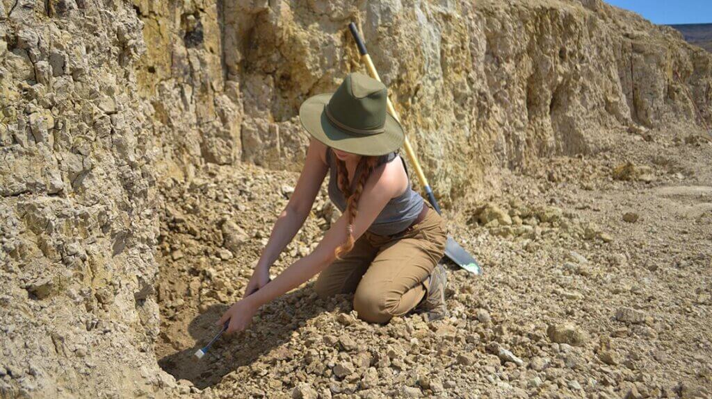 rockhounding at royal peacock opal mines in denio nevada