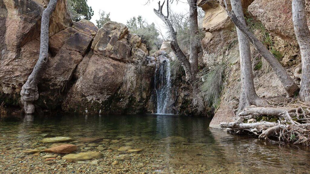 Ironwood tours, hiking tour, southern nevada