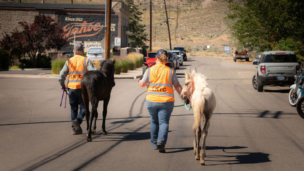horses at attendees in western garb at dayton valley days in dayton nevada
