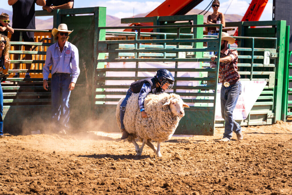douglas county rodeo in gardnerville nevada
