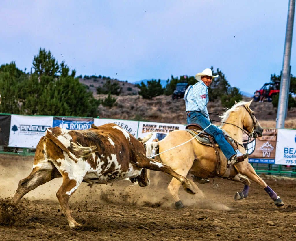 douglas county rodeo in gardnerville nevada