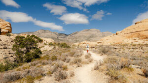Outdoor Recreation