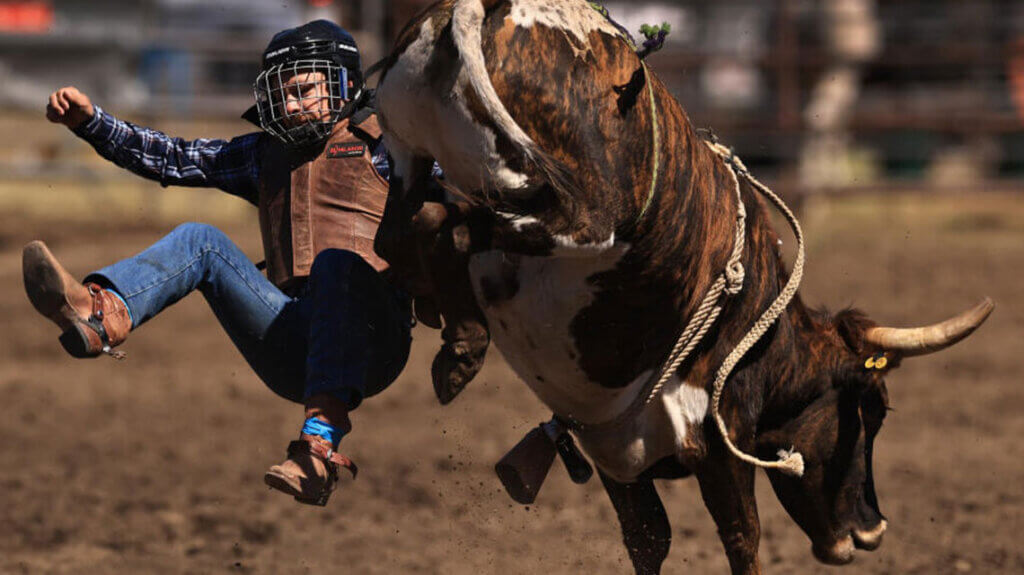world gay rodeo finals in reno nv