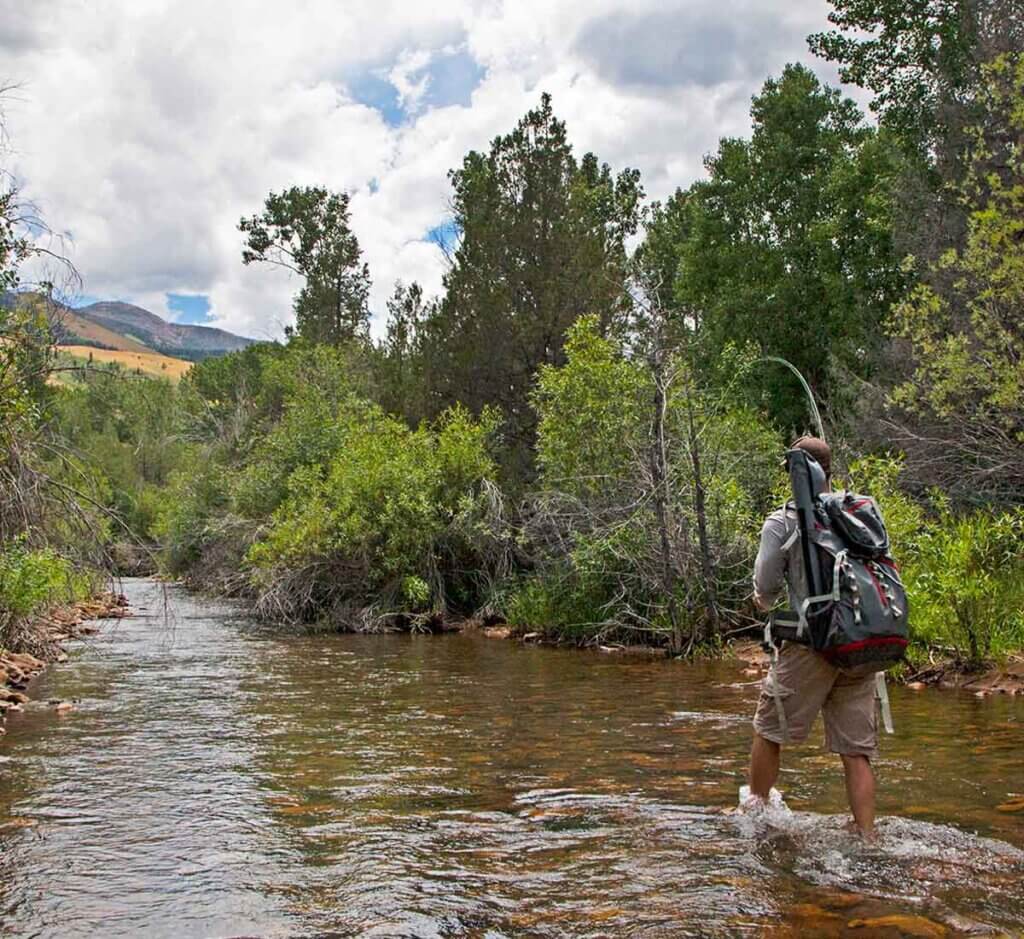 man fishing at jarbidge river