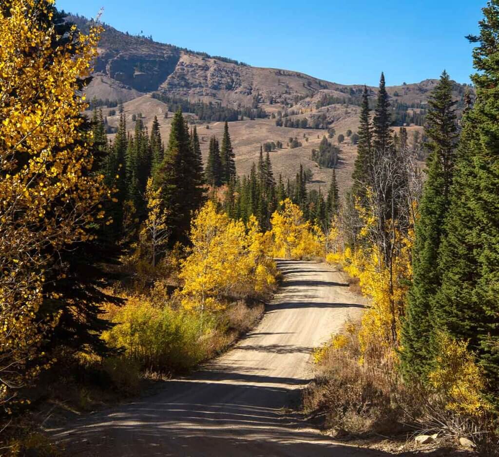 off road trail in jarbidge wilderness area