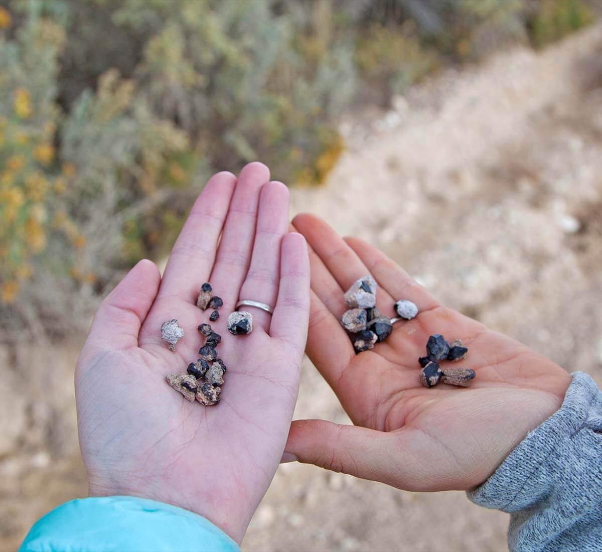 Top Places For Rockhounding In Nevada Gem Hunting In Nevada