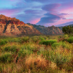 Desert scene with yucca and sagebrush, red-banded mountains in the background, and a pink and purple sunset in the sky.