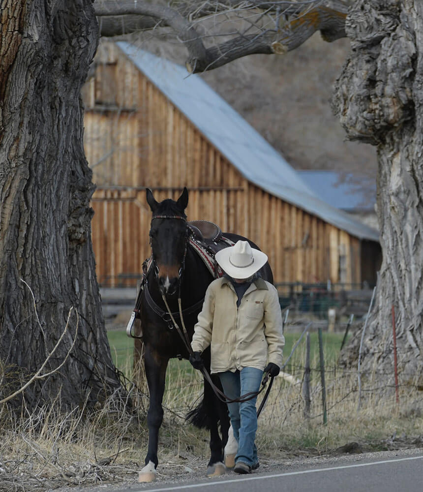 A person wearing a cowboy hat walks a horse alongside a roadway. Large trees and a barn in the background.