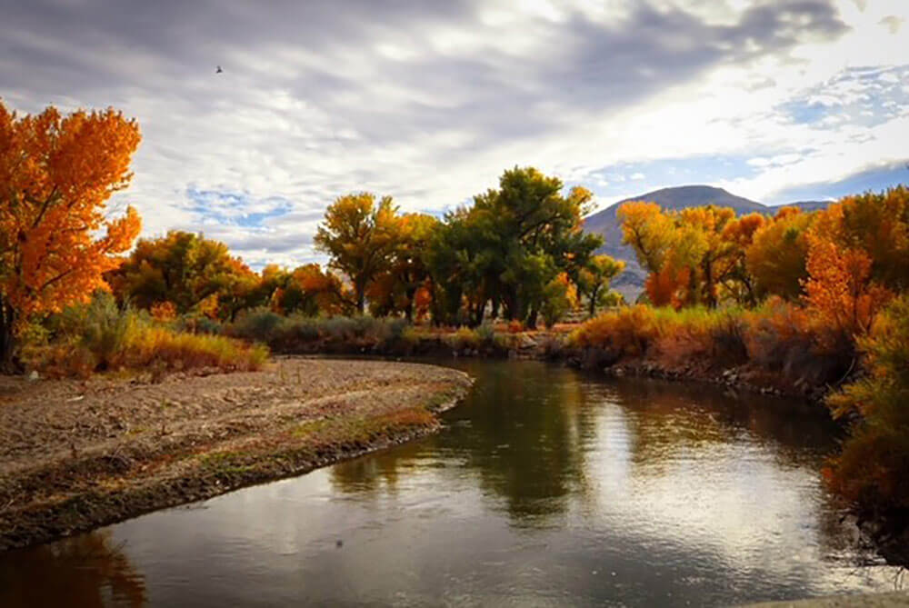 Desert river with trees on either side, in autumn. Leaves are green, red, yellow, and orange. The sky is cloudy.