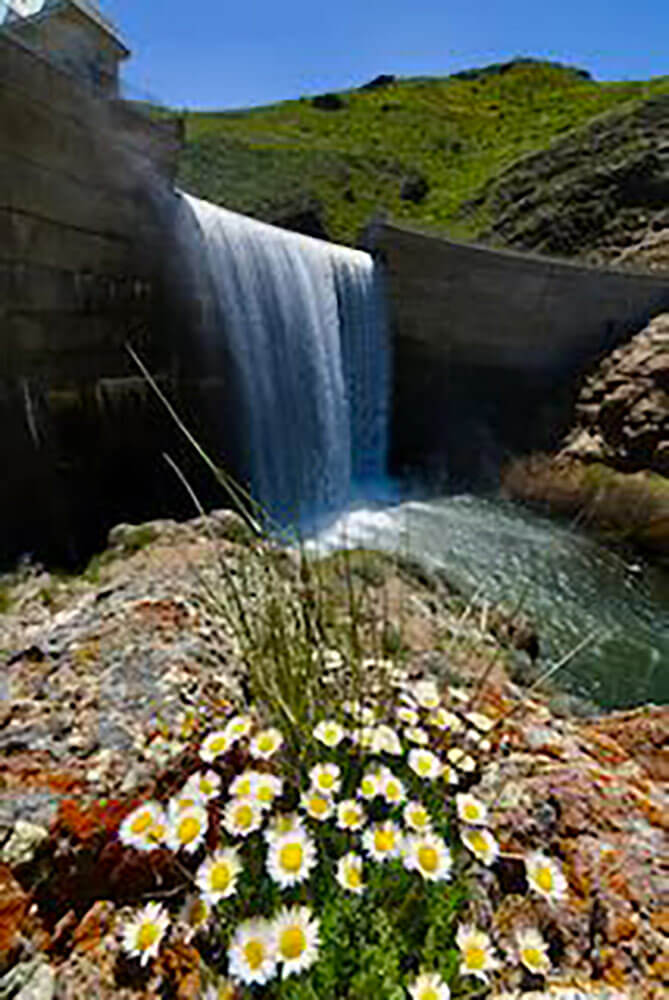 A small dam/waterfall with green mountains in the background and flowers in the foreground.