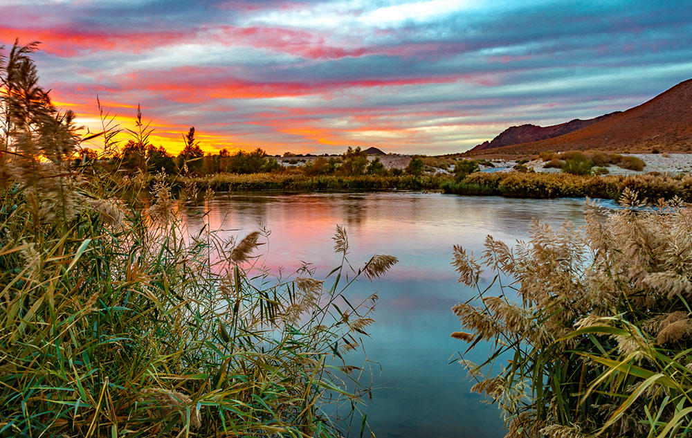 Desert lake surrounded by plants, with orange and yellow sunset in the cloudy sky.