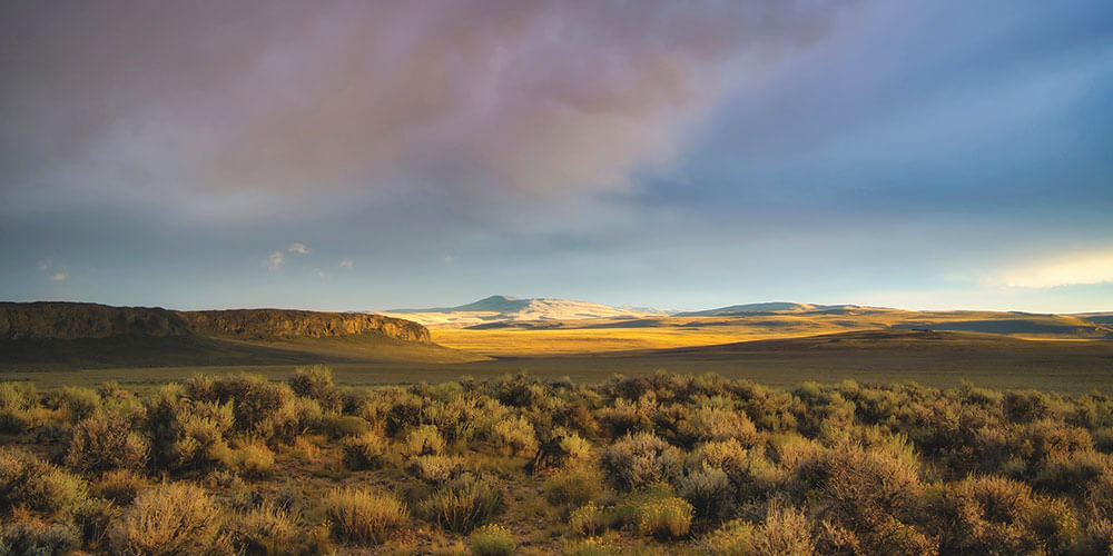 landscape desert in Nevada