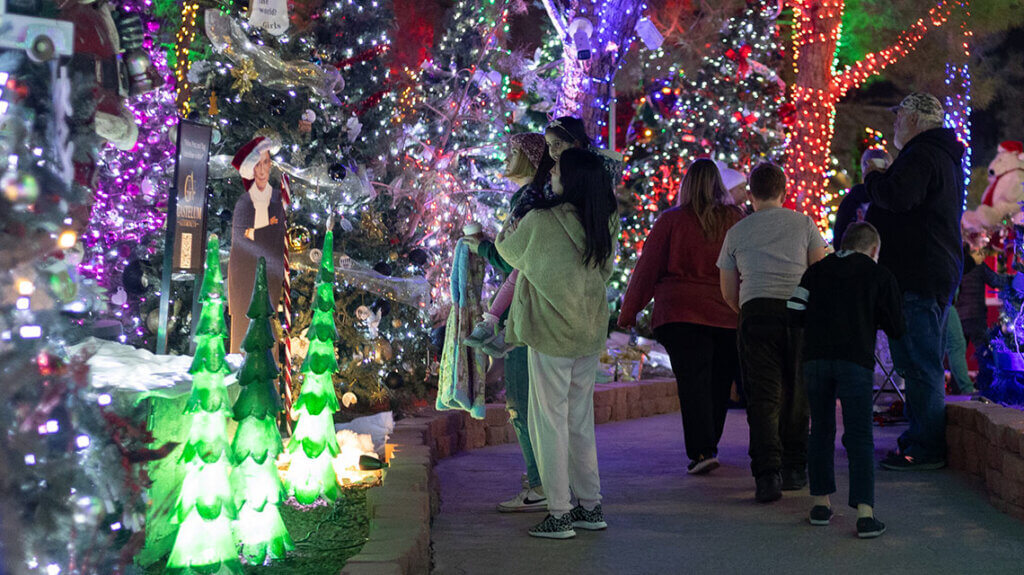 【美品】ATAO　ウィークエンド　Xmas限定　マジカルフォレスト Xmas-weekends limited25/magical forest – ATAO LAND+(アタオランド