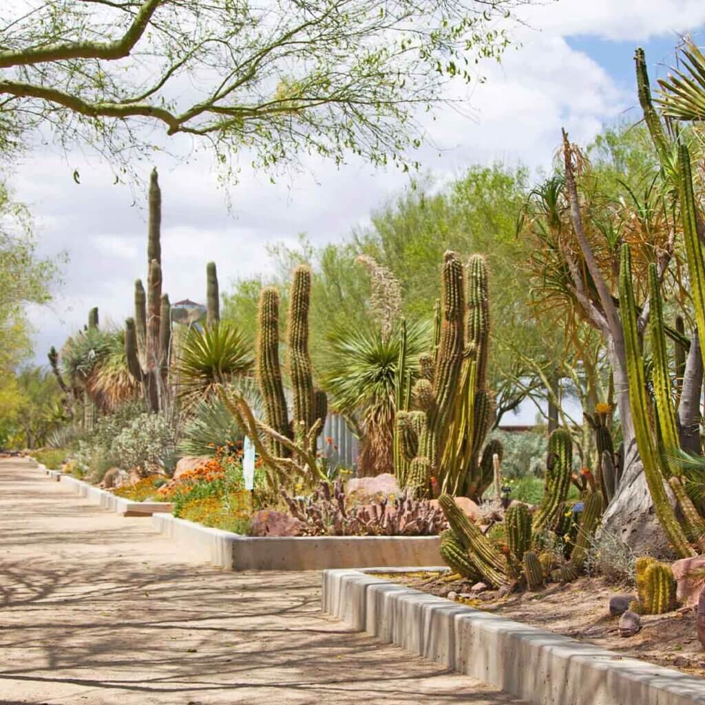las vegas springs preserve