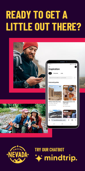 ready to get a little out there try our mindtrip chatbot