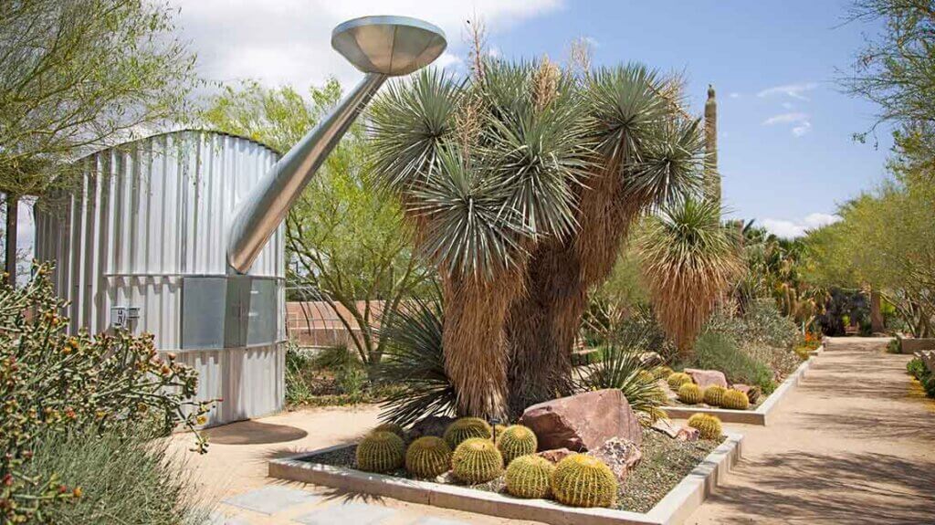 garden at springs preserve las vegas