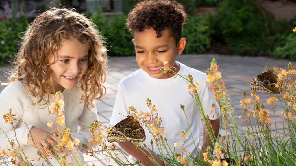 kids looking at butterflies at springs preserve