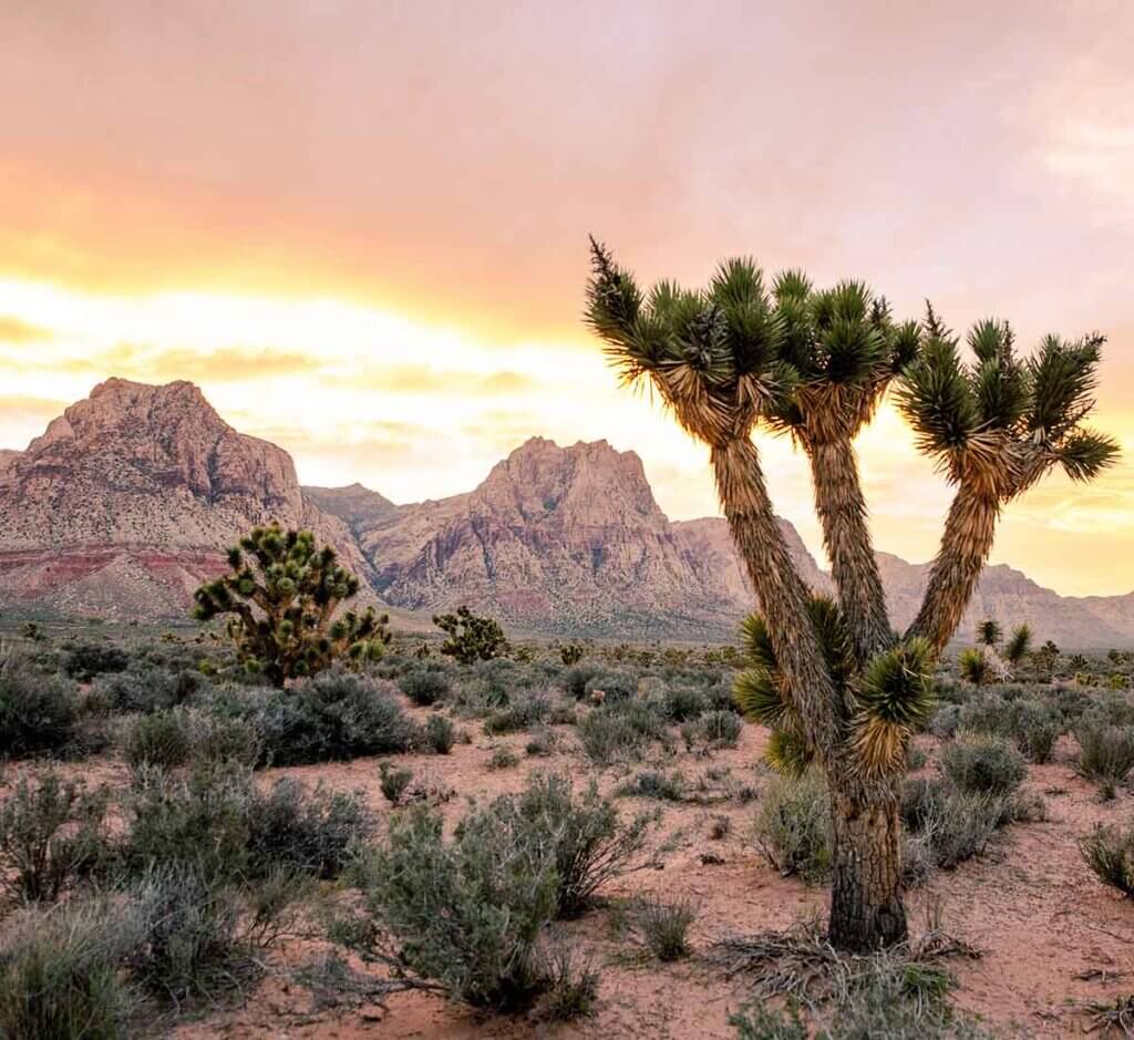 sunset at spring mountain in southern nevada