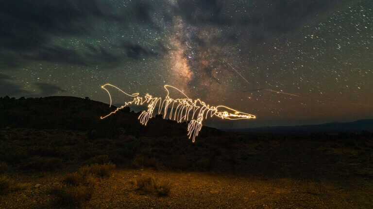 dariustwin light painting of an ichthyosaur at berlin-ichthyosaur state park near gabbs nevada