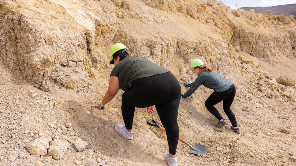 rockhounding for virgin valley black fire opals at royal peacock opal mine near denio nv