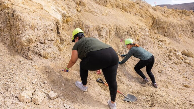 rockhounding for virgin valley black fire opals at royal peacock opal mine near denio nv