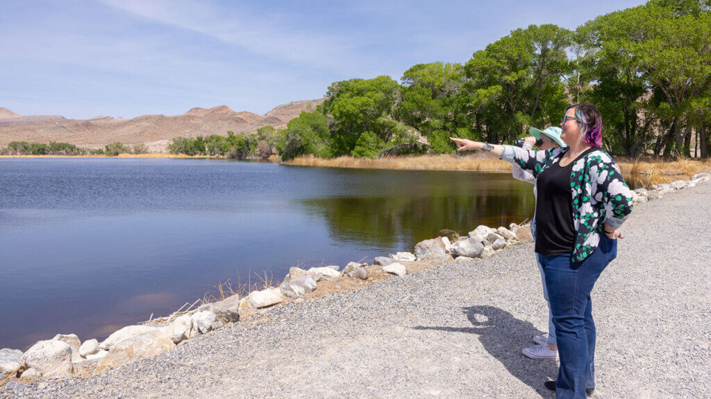 birding at upper pahranagat national wildlife refuge in alamo nevada