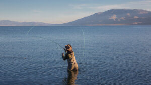 Fishing in Nevada