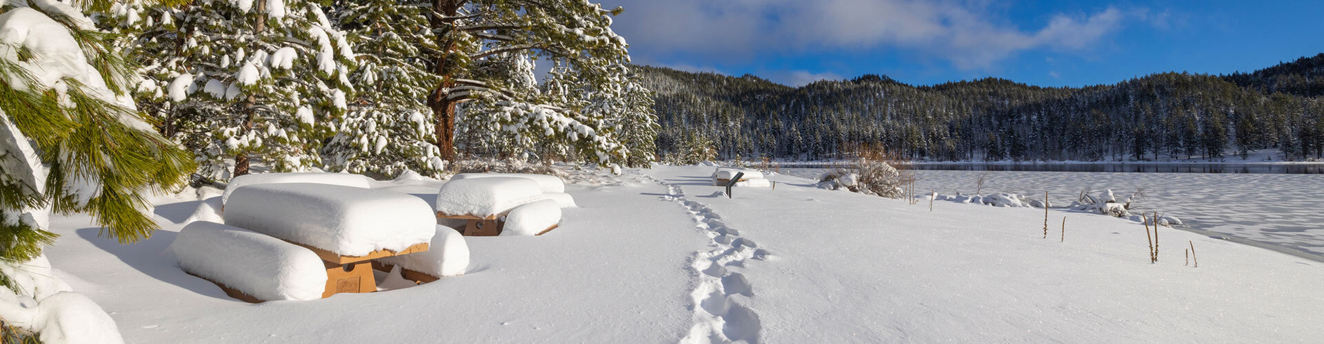 snow at spooner lake & backcountry state park near carson city nevada