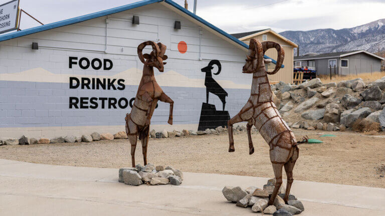 bighorn sheep sculptures outside the bighorn crossing at walker lake near hawthorne nevada