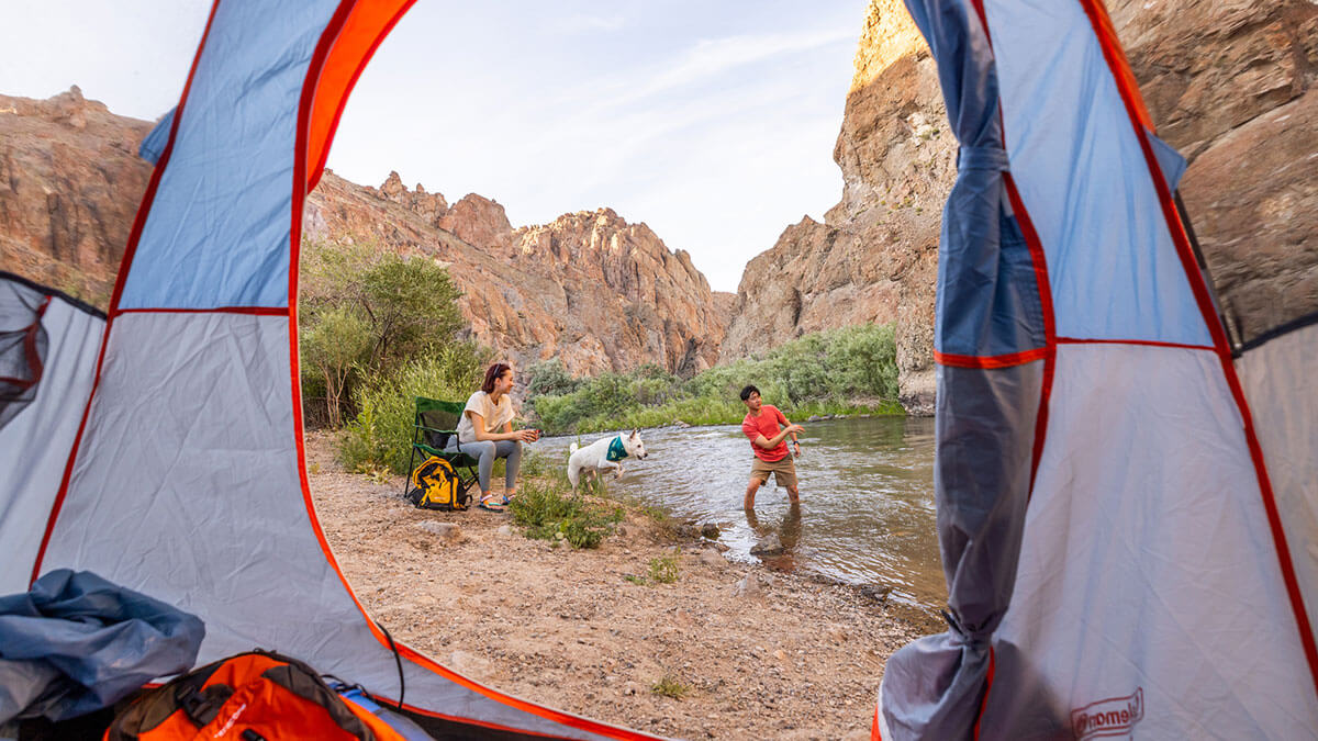starlink camping Starlink Mini Power Bank 99Wh