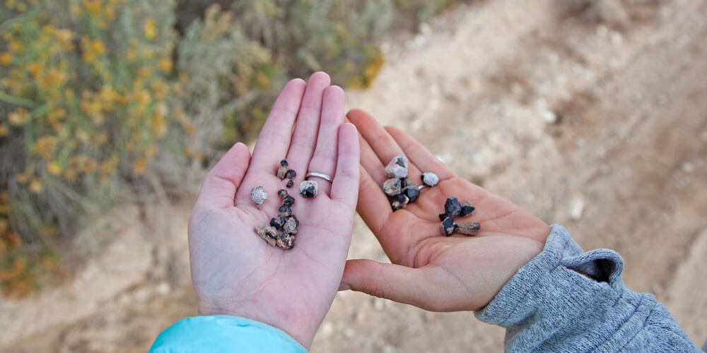 rockhounding garnets in nevada