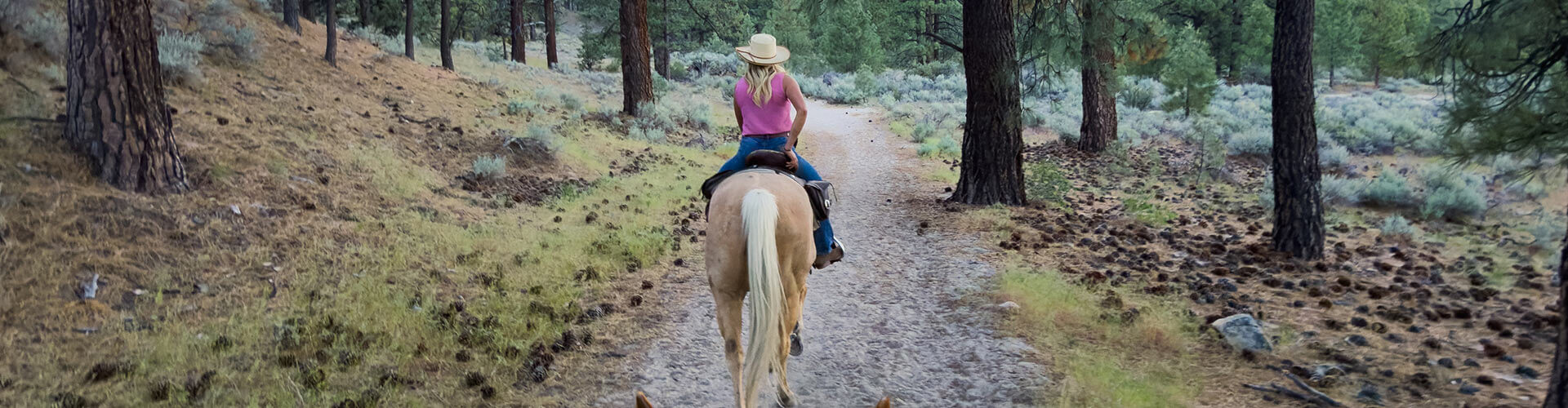 guided horseback riding tour with bader ranch trail co in gardnerville carson valley nevada