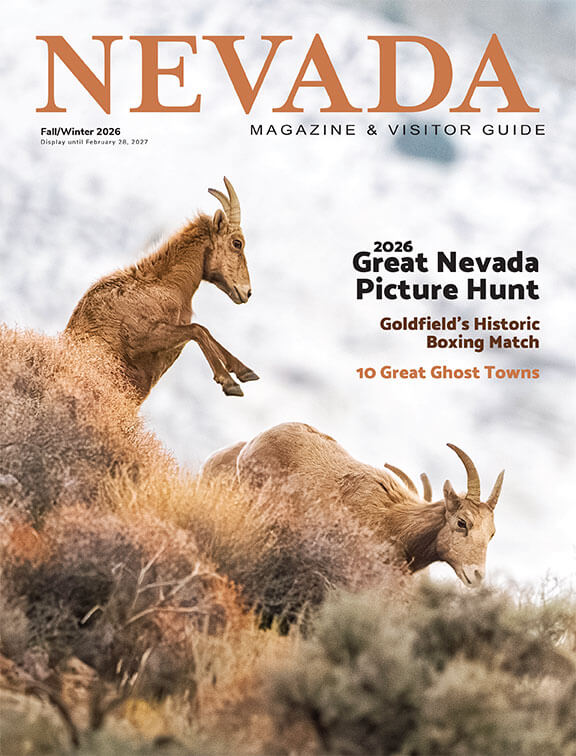 Cover for Fall/Winter 2026